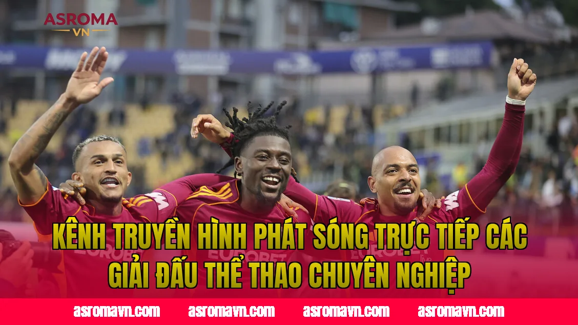 Kênh truyền hình phát sóng trực tiếp các giải đấu thể thao chuyên nghiệp